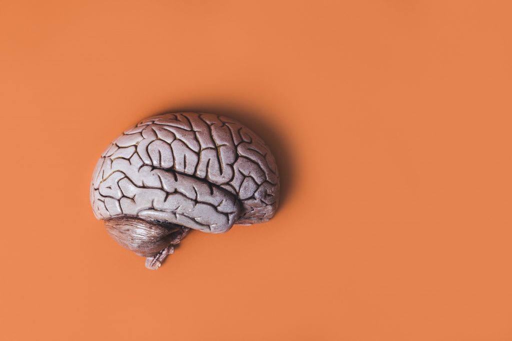 The Only Important Organ? CEO's Brain. Use less, get more with Marketing Automation on Mumara.