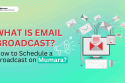 what is email broadcast? | Mumara