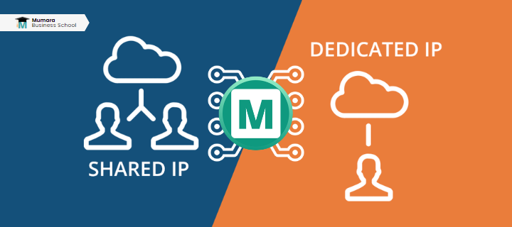 Mumara shared IPs and Dedicated IPs