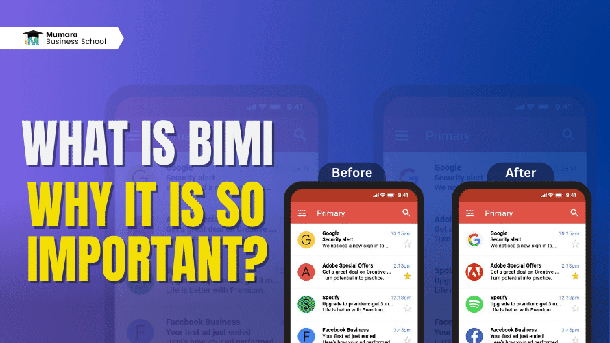 what is BIMI? | Mumara