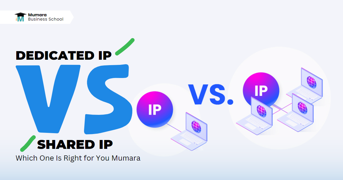 Dedicated IP Vs Shared IP: Which One Is Right for You? Mumara