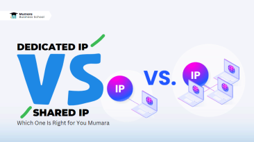 dedicated vs shared IPs | Mumara