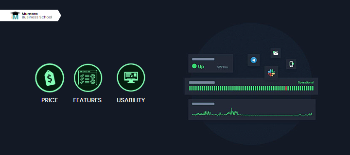 uptime monitoring service features | Mumara