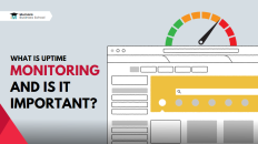 uptime monitoring | Mumara