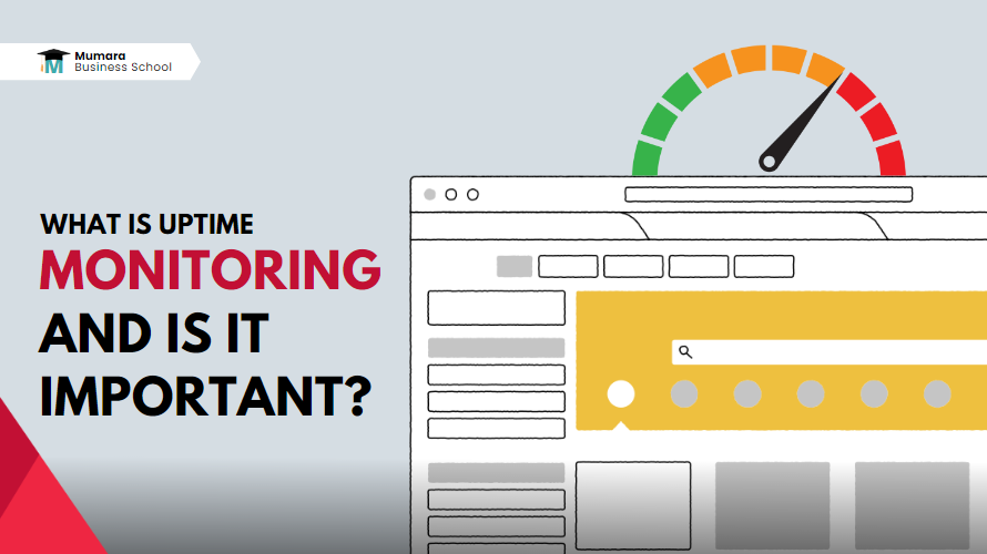 uptime monitoring | Mumara