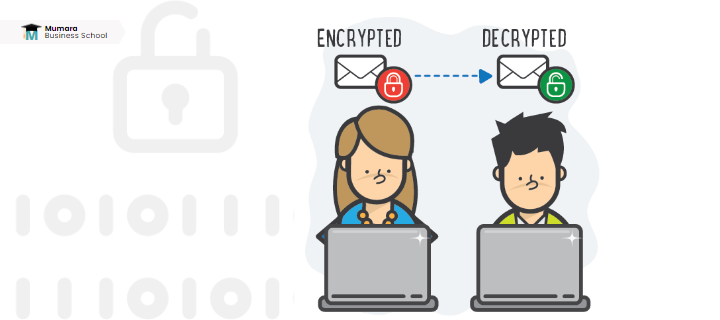 how-does-email-encryption-work