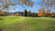 Photo False Positives