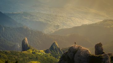 Photo Image to Text Ratio