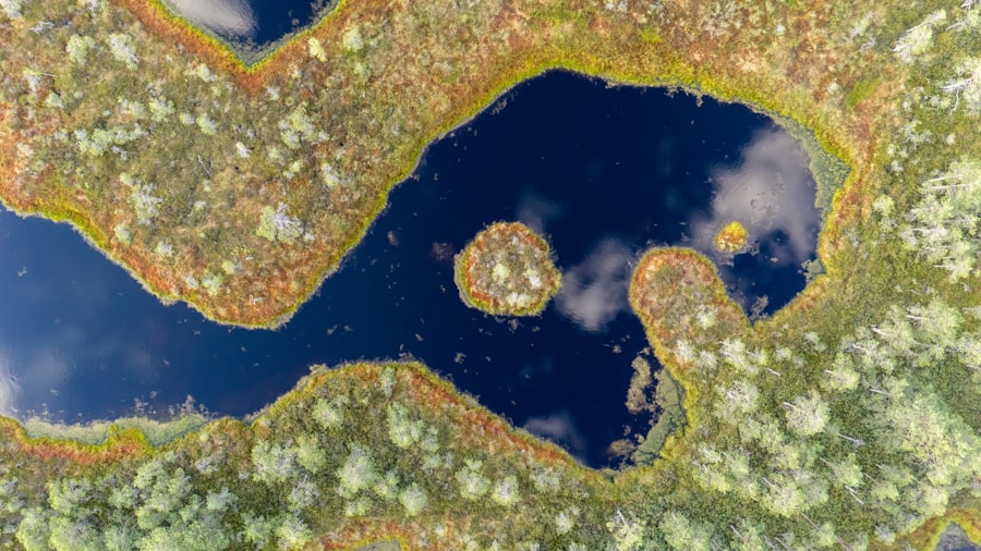 Mumara Geo Location Targeting