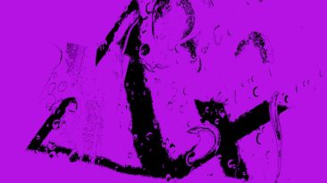 Photo Catch All Server