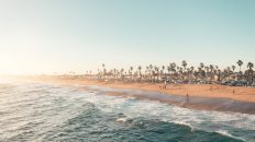 Photo Export Detailed Campaign Reports