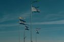 Photo Priority Flags
