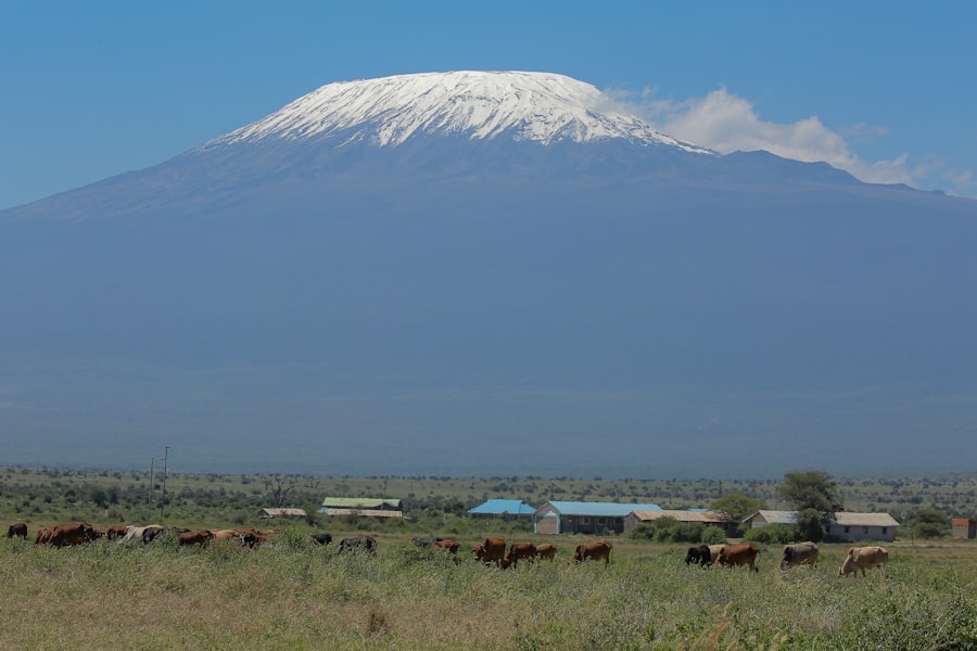 Photo Apple Mail Privacy Protection